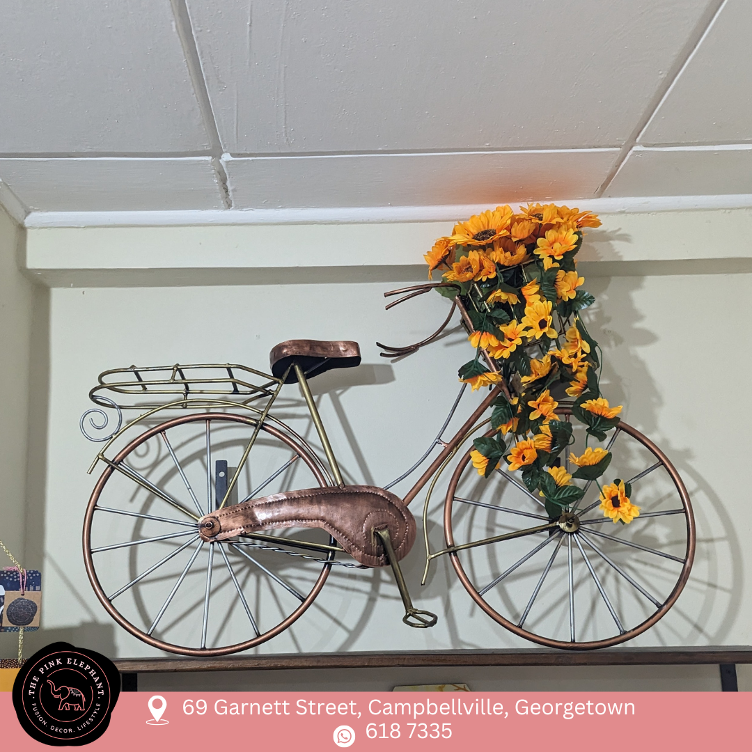 Bicycle Wall Hanging